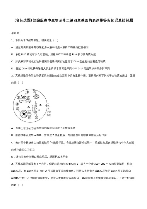 部编版高中生物必修二第四章基因的表达带答案知识总结例题