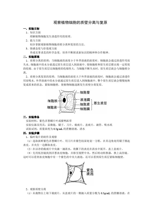 实验报告设计 范运梁 -观察植物细胞的质壁分离与复原