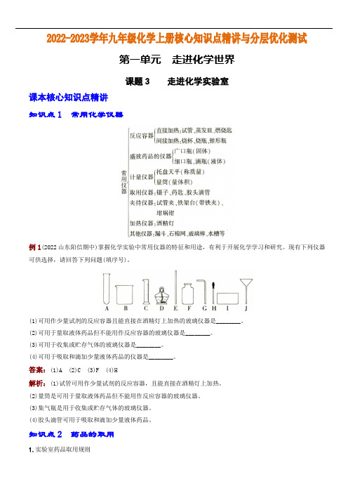 九年级化学上册核心知识点精讲(人教版)：走进化学实验室