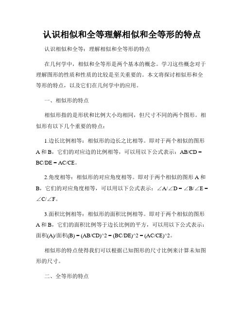 认识相似和全等理解相似和全等形的特点