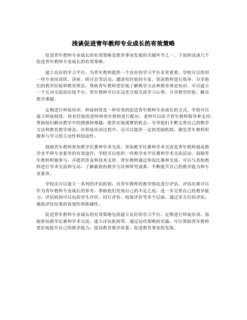 浅谈促进青年教师专业成长的有效策略