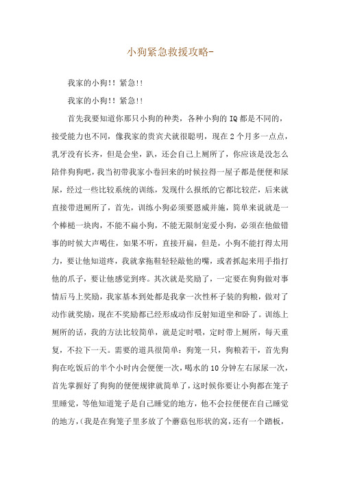 小狗紧急救援攻略--我家的小狗!!紧急!!