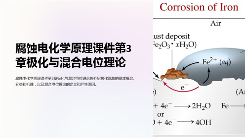 腐蚀电化学原理课件第3章极化与混合电位理论