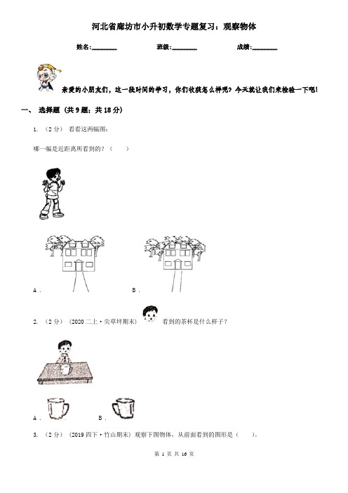 河北省廊坊市小升初数学专题复习：观察物体