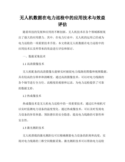 无人机数据在电力巡检中的应用技术与效益评估