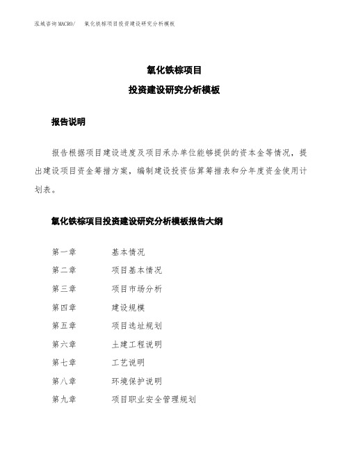 氧化铁棕项目投资建设研究分析模板重点及难点分析