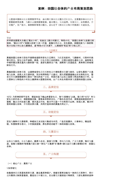 案例：田园综合体的产业布局策划思路