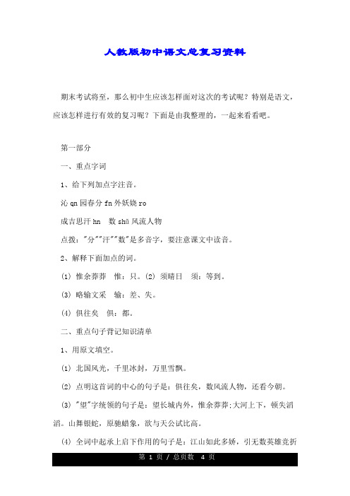 人教版初中语文总复习资料.doc