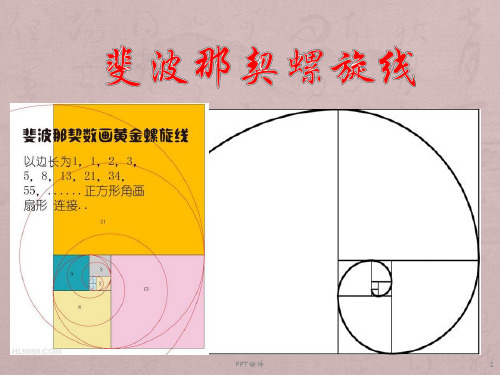 斐波那契螺旋线  ppt课件