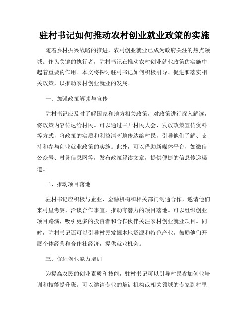 驻村书记如何推动农村创业就业政策的实施