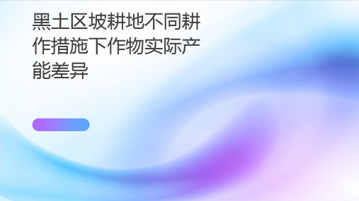 黑土区坡耕地不同耕作措施下作物实际产能差异