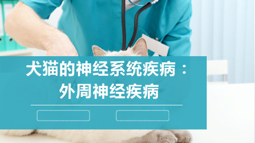 犬猫的神经系统疾病(外周神经疾病)-宠物医生课件