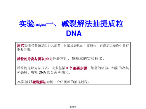 实验二碱裂解法抽提质粒DNA2