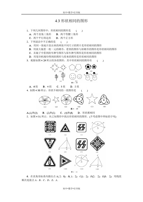 北师大版-数学-八年级下册--4.3形状相同的图形课后拓展训练