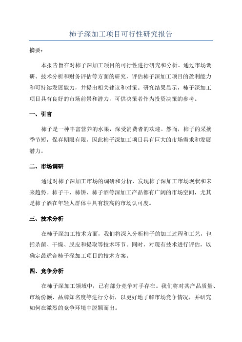 柿子深加工项目可行性研究报告