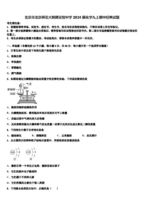 北京市北京师范大附属实验中学2024届化学九上期中经典试题含解析