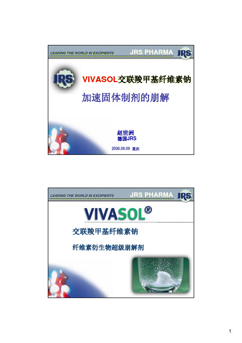 VIVASOL交联羧甲基纤维素钠加速固体制剂的崩解