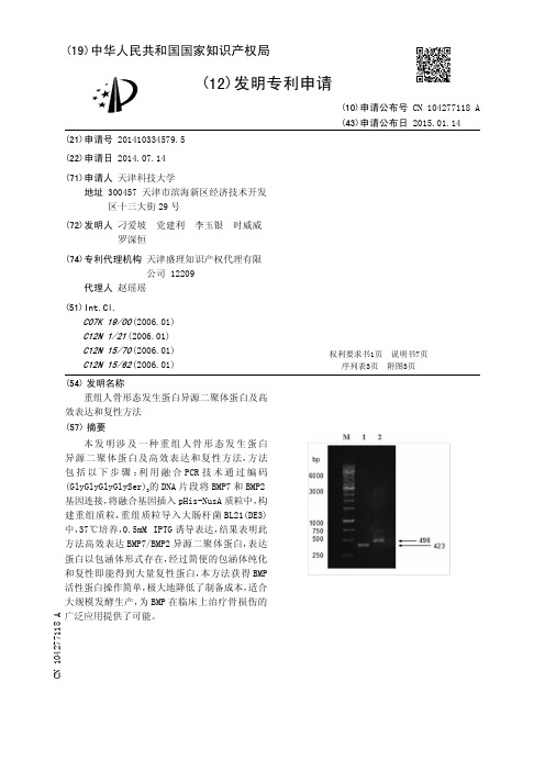 重组人骨形态发生蛋白异源二聚体蛋白及高效表达和复性方法[发明专利]