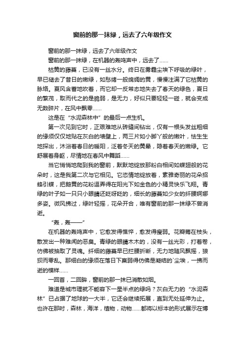 窗前的那一抹绿，远去了六年级作文