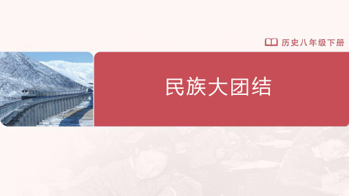 市级优质课一等奖人教版八年级历史下册《民族大团结》公开课课件