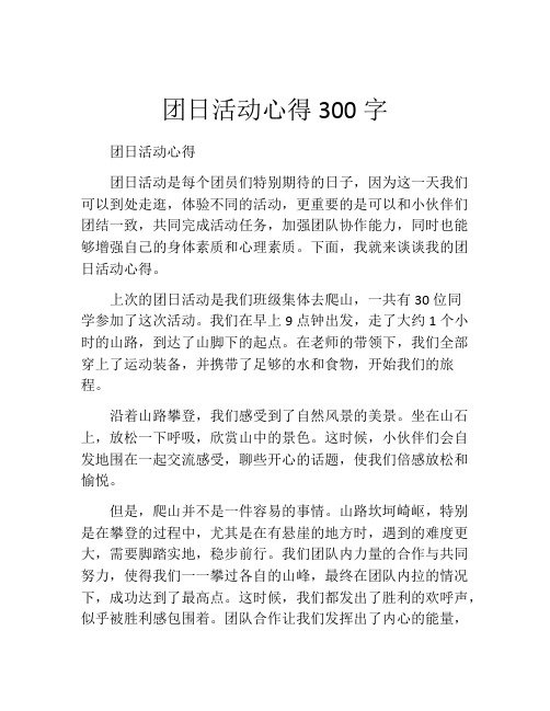 团日活动心得300字