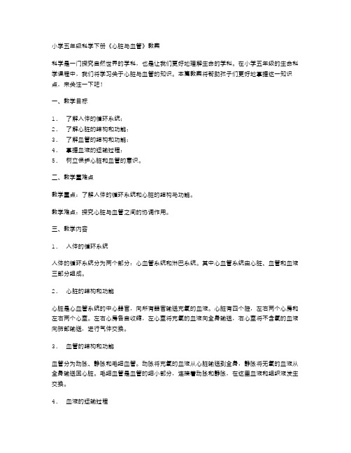 小学五年级科学下册《心脏与血管》教案,让孩子更好地掌握生命科学知识