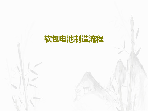 软包电池制造流程共80页文档