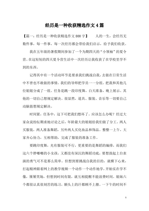 经历是一种收获精选作文4篇