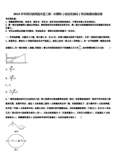 2024学年四川省西昌市高三第一次模拟(适应性测试)考试物理试题试卷