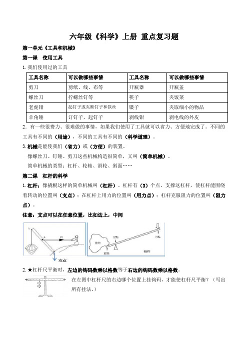 教科版六年级上册科学知识点总结