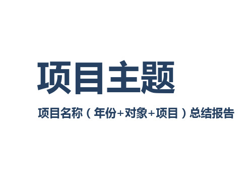 活动项目总结报告模板