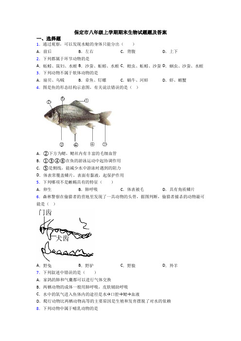 保定市八年级上学期期末生物试题题及答案