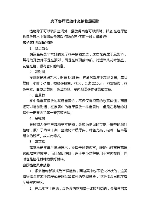 房子客厅摆放什么植物最招财