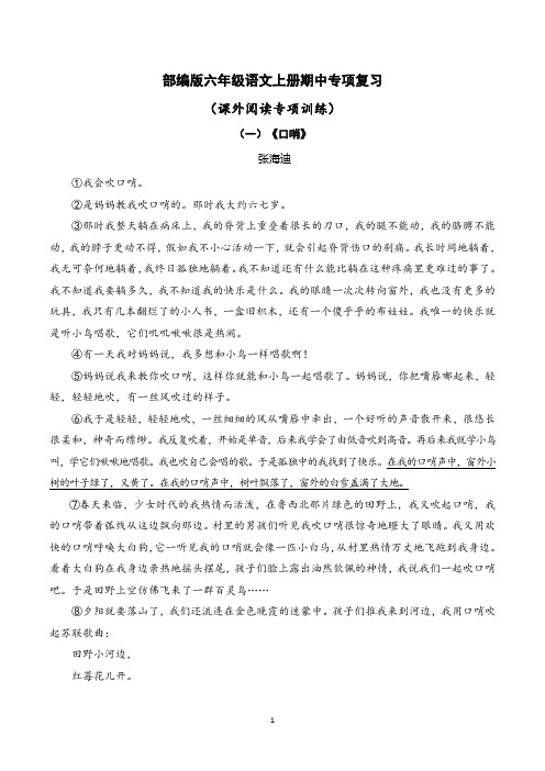 部编版六年级语文上册期中专项复习——课外阅读专项训练