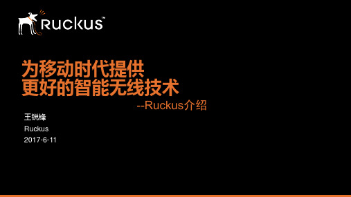 Ruckus技术优势介绍