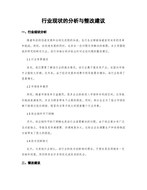 行业现状的分析与整改建议