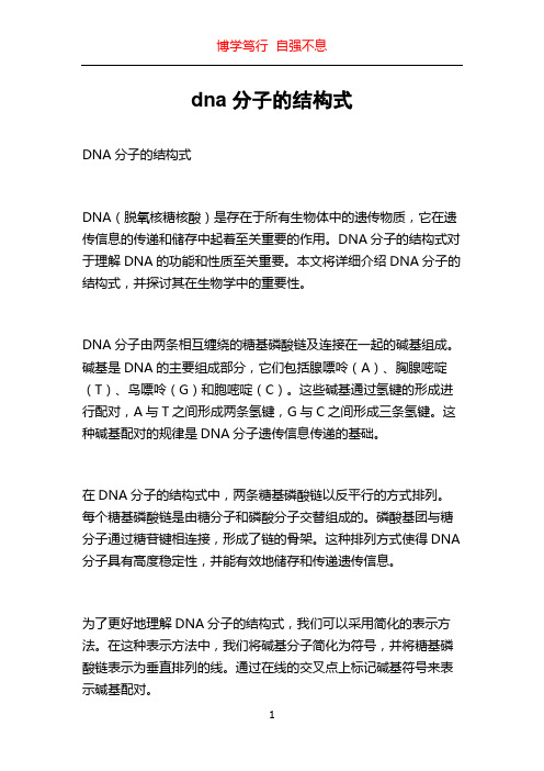 dna分子的结构式