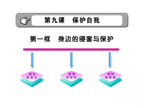 10-11版初中政治新课标金榜学案配套课件：4.9.1 身边的侵害与保护