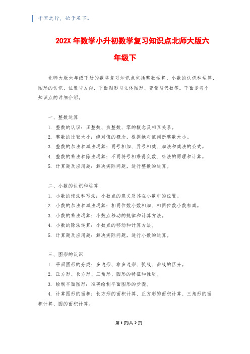 202X年数学小升初数学复习知识点北师大版六年级下