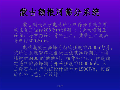 《额根河筛分系统》