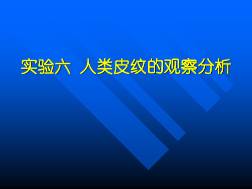 实验一人类皮纹的观察分析 ppt课件.ppt