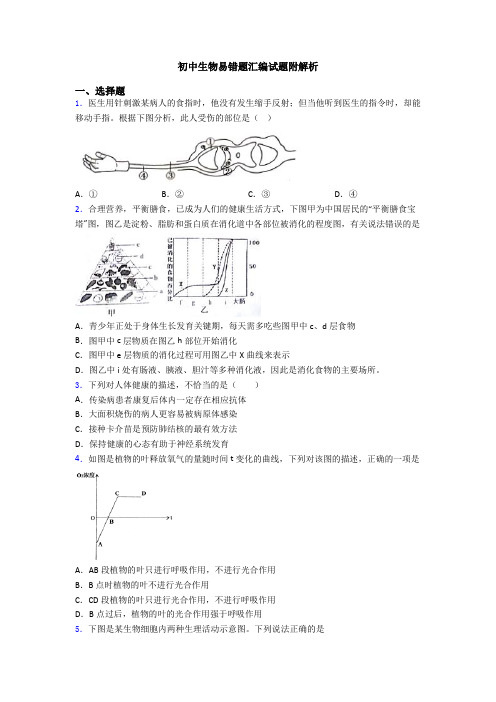 初中生物易错题汇编试题附解析