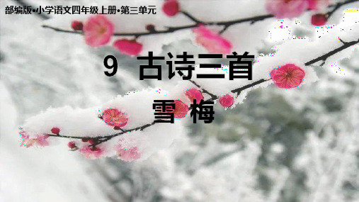 统编版四年级上册语文 9 古诗三首《雪梅》课件(共15张PPT).ppt