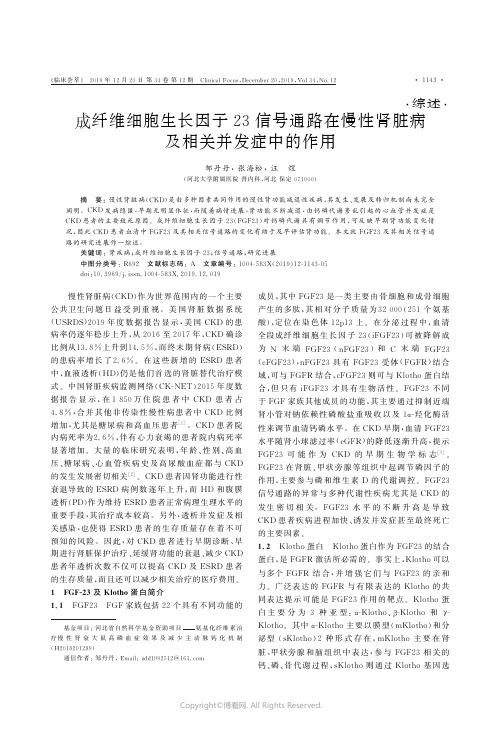 成纤维细胞生长因子23信号通路在慢性肾脏病及相关并发症中的作用