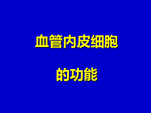 04.血管内皮细胞病理生理学(04.21)