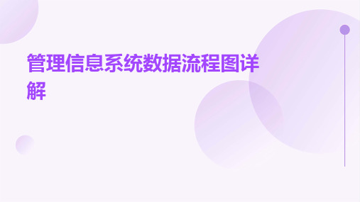 管理信息系统数据流程图详解PPT