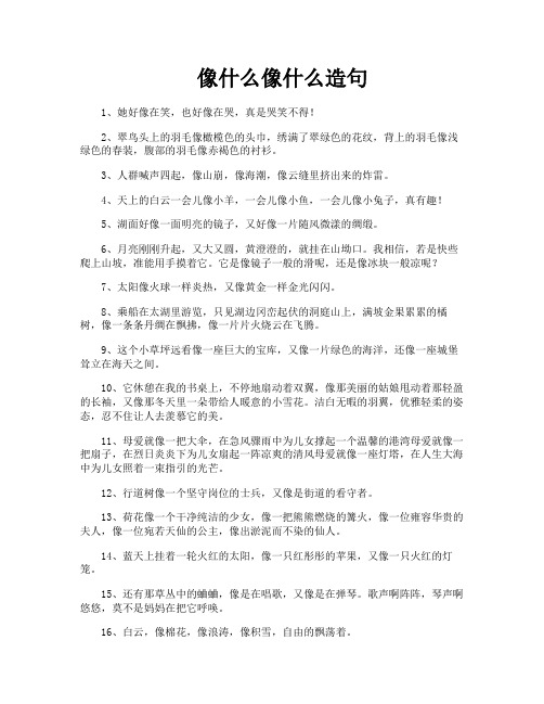 像什么像什么造句