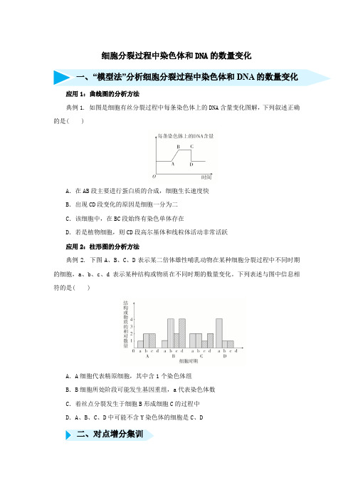 2020届高三生物精准培优专练十细胞分裂过程中染色体和DNA的数量变化(含解析)