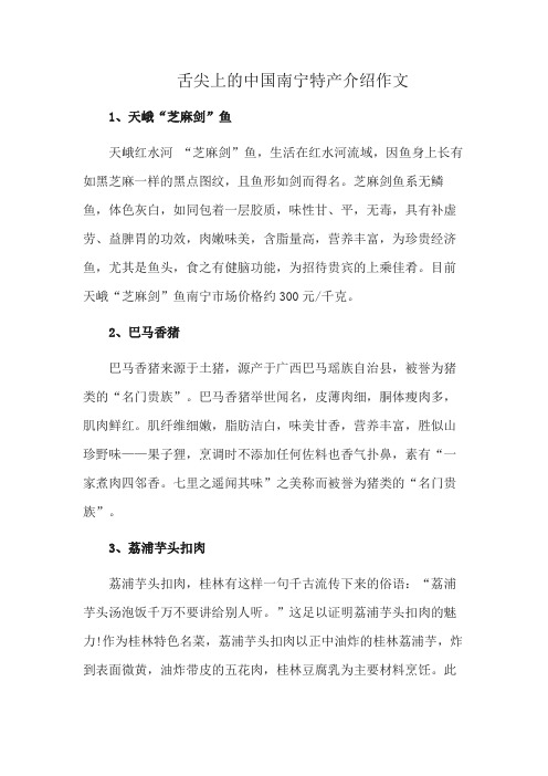 舌尖上的中国南宁特产介绍作文