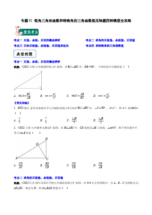 专题01 锐角三角形函数和特殊角的三角函数值压轴题四种模型全攻略(原卷版)